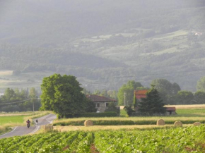 Гостиница Agriturismo Poderi Minori  Биббьена